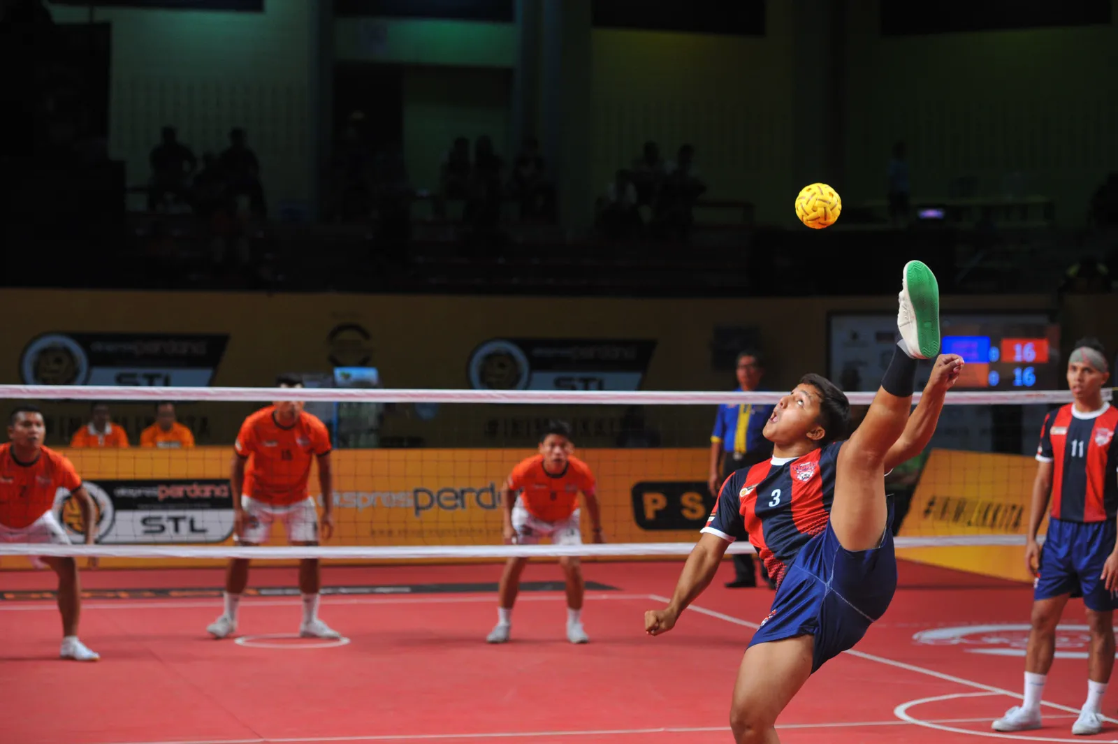 Panthers turn up the heat on Turtles
